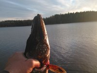 main 2014-04-30 21-18-21 1398889743